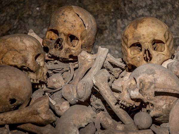 Os et crânes dans les catacombes